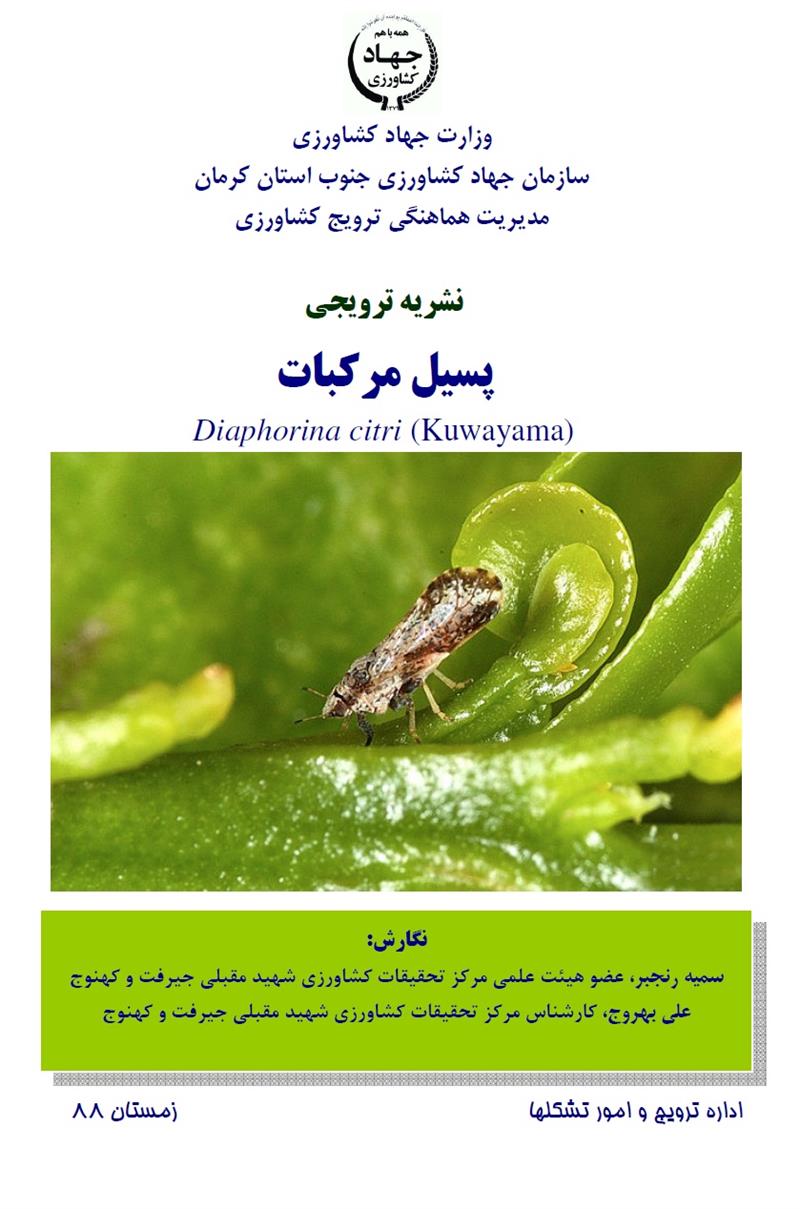 پسیل مرکبات